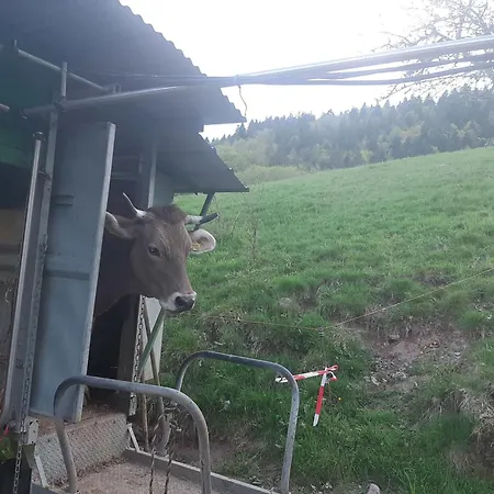 Apartmán Am Belchen Bollen