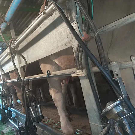 Am Belchen Apartmán