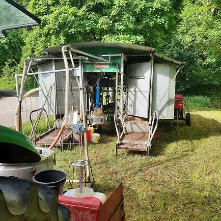 Am Belchen Apartmán