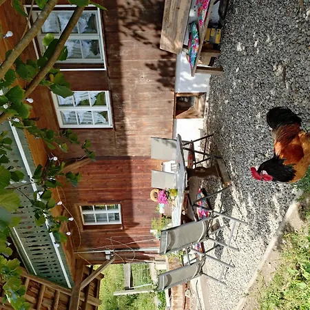 Apartmán Am Belchen *