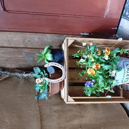 Am Belchen Apartmán *