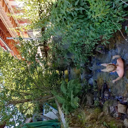 Am Belchen Apartmán Bollen