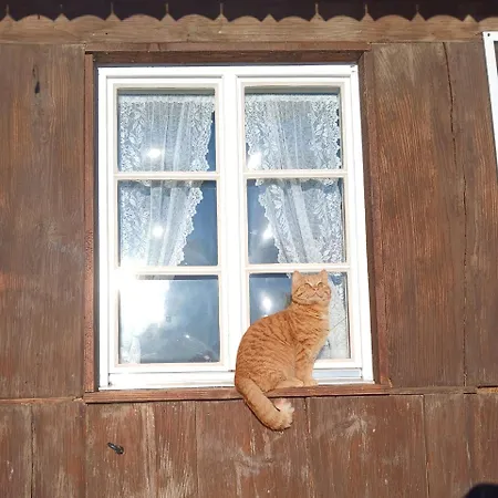 Apartment Am Belchen Bollen