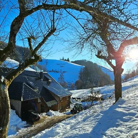 Am Belchen アパート Bollen