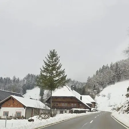 Am Belchen * Bollen