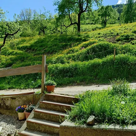 Am Belchen Apartment Bollen