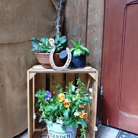 アパート Am Belchen Bollen