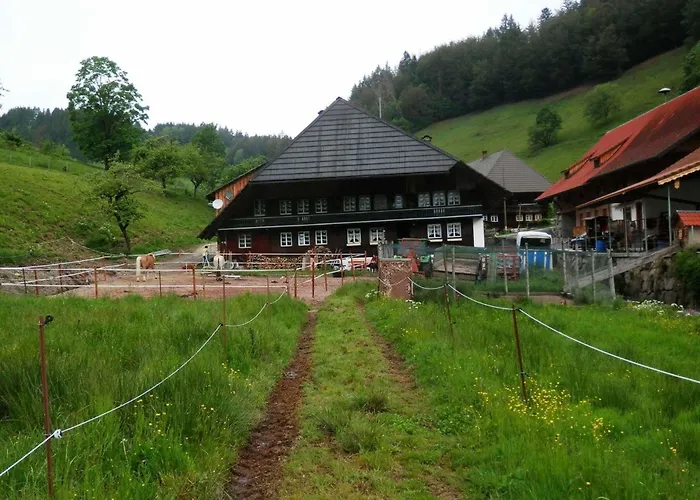 Apartment Am Belchen