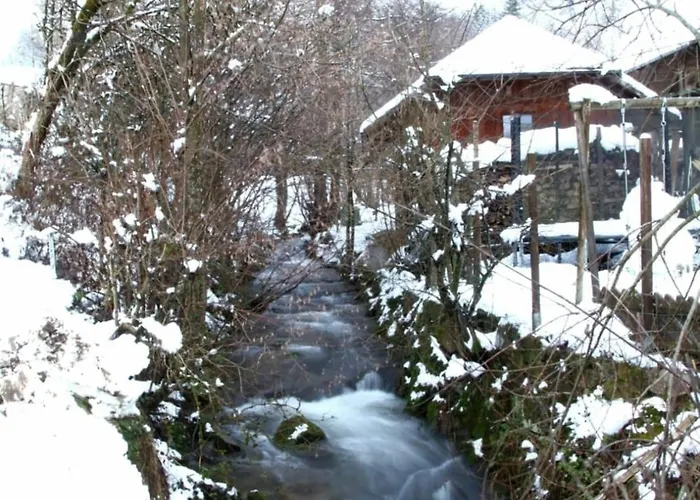 Apartment Am Belchen Bollen