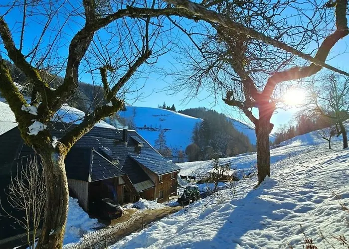 Am Belchen Appartamento Bollen