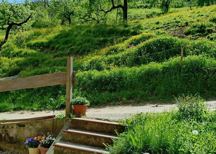 Am Belchen Apartment Bollen