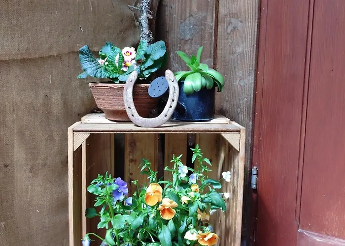 Appartamento Am Belchen Bollen